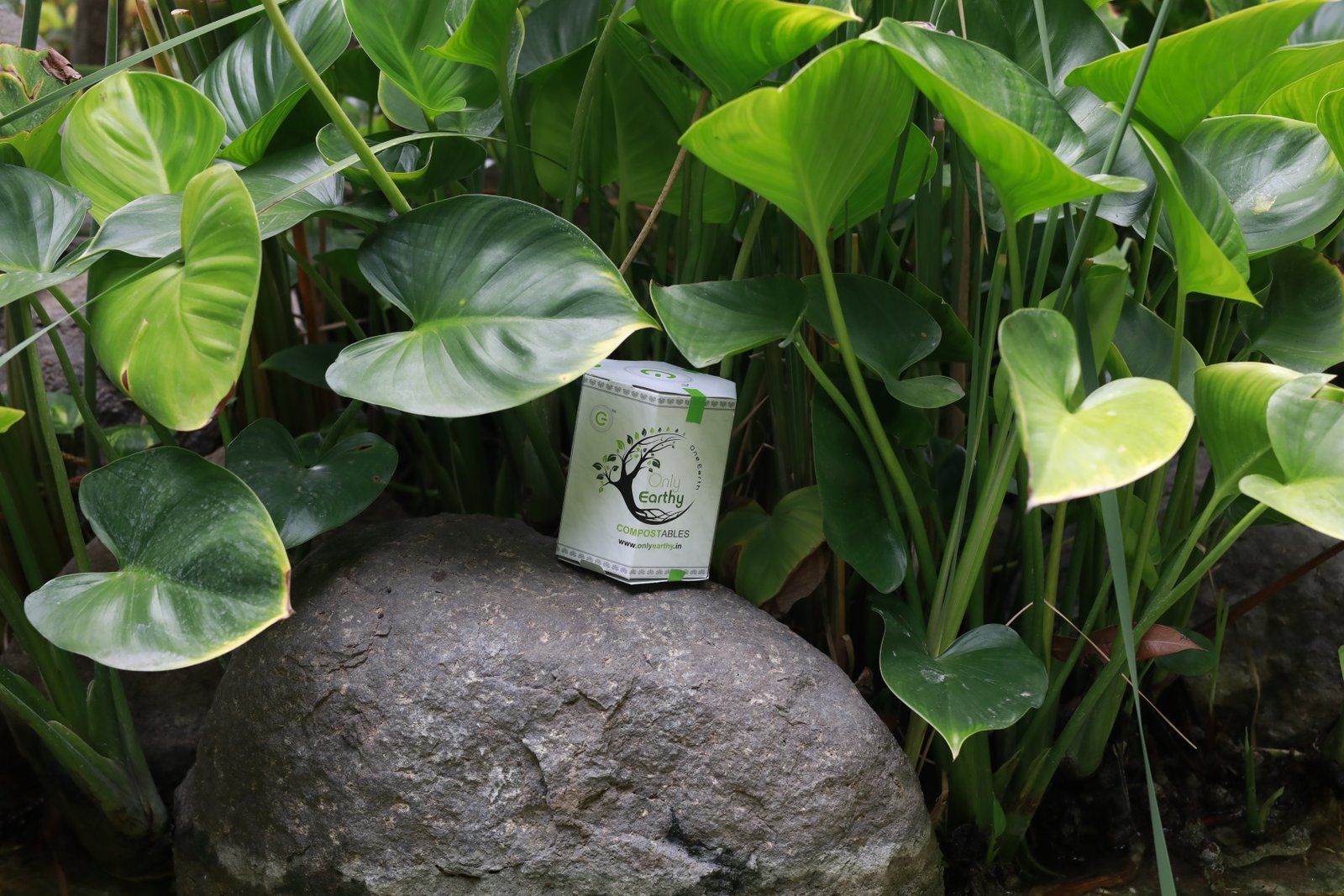 Sustainability and returning to earth